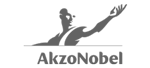 AkzoNobel-Logo-1.png